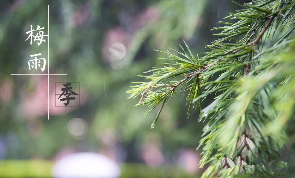 雨季到來，涂料施工需注意哪些問題